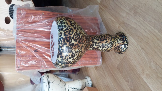 17670922342185054016536279890026